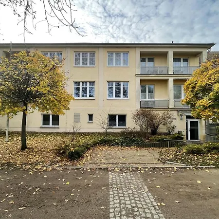 Strandflieder 202